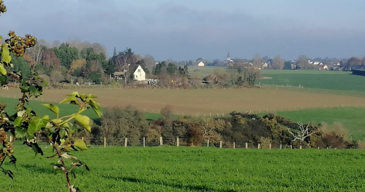 Photos/Vidéos SteMarieauBosc